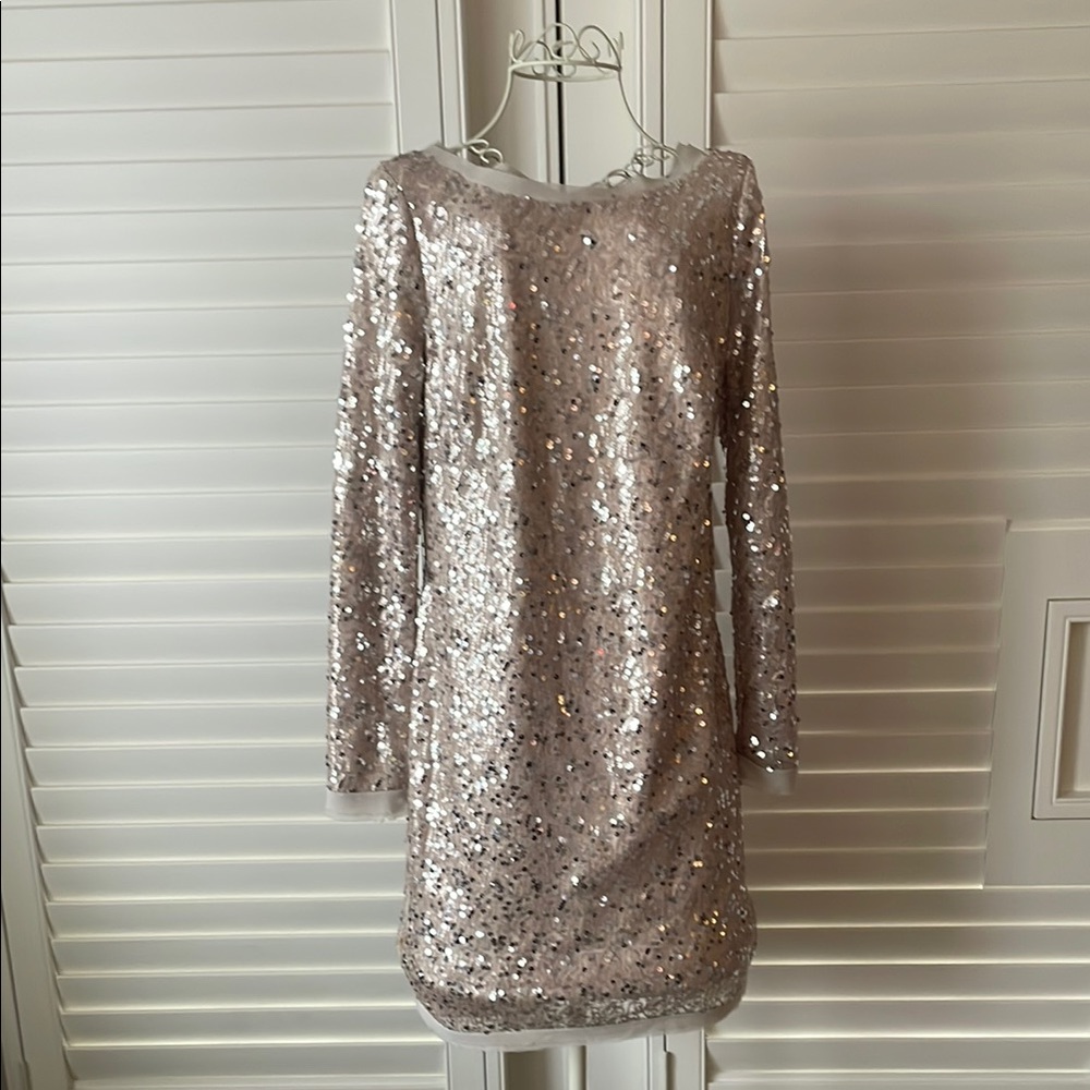 Gold and Silver Sequin Dress